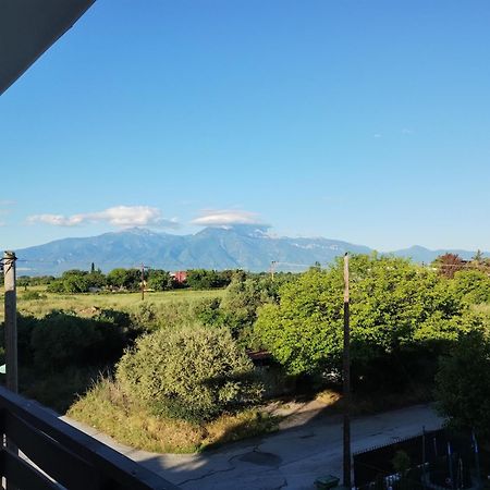 Villa Olympia Paralía Buitenkant foto
