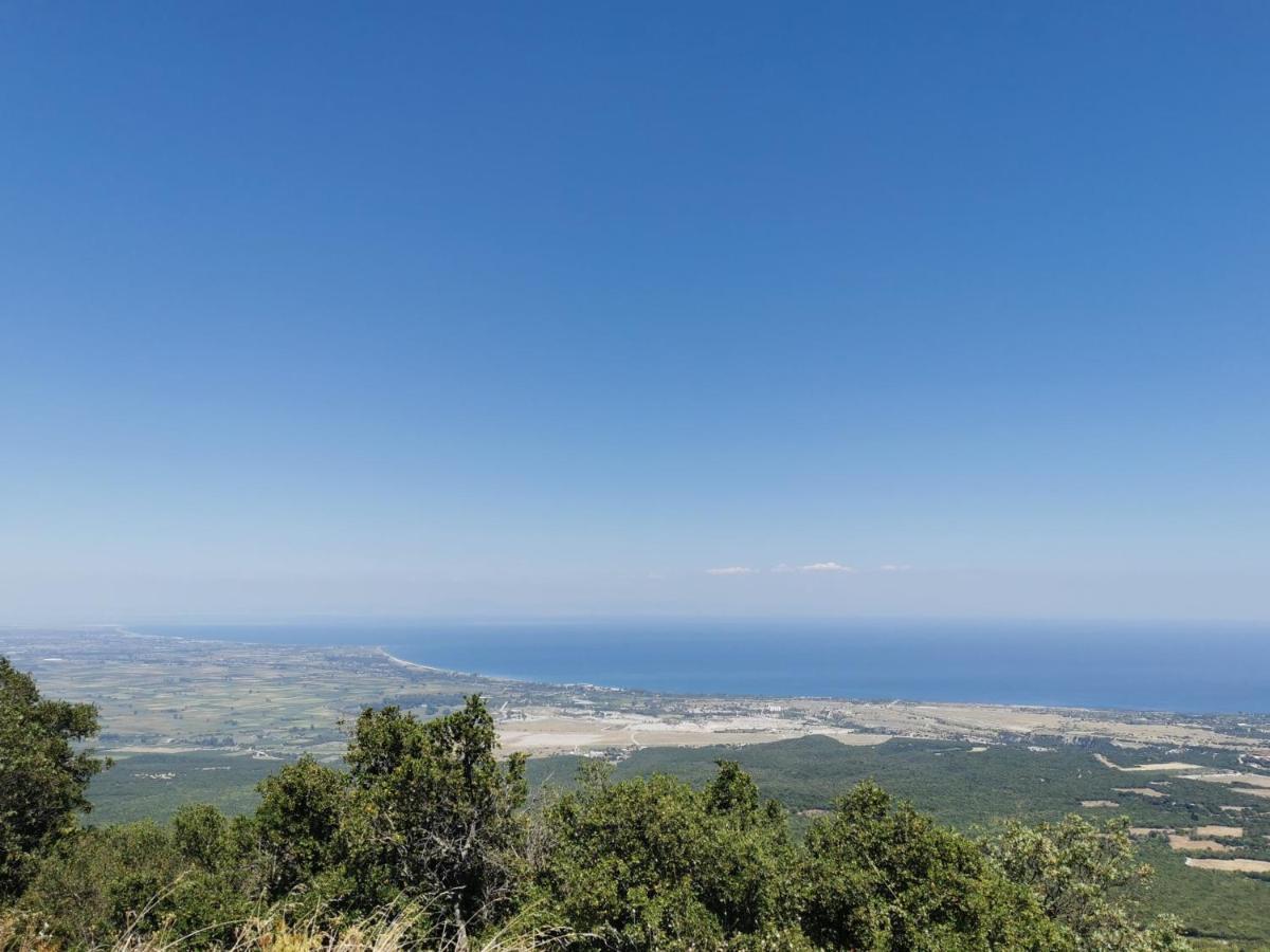 Villa Olympia Paralía Buitenkant foto