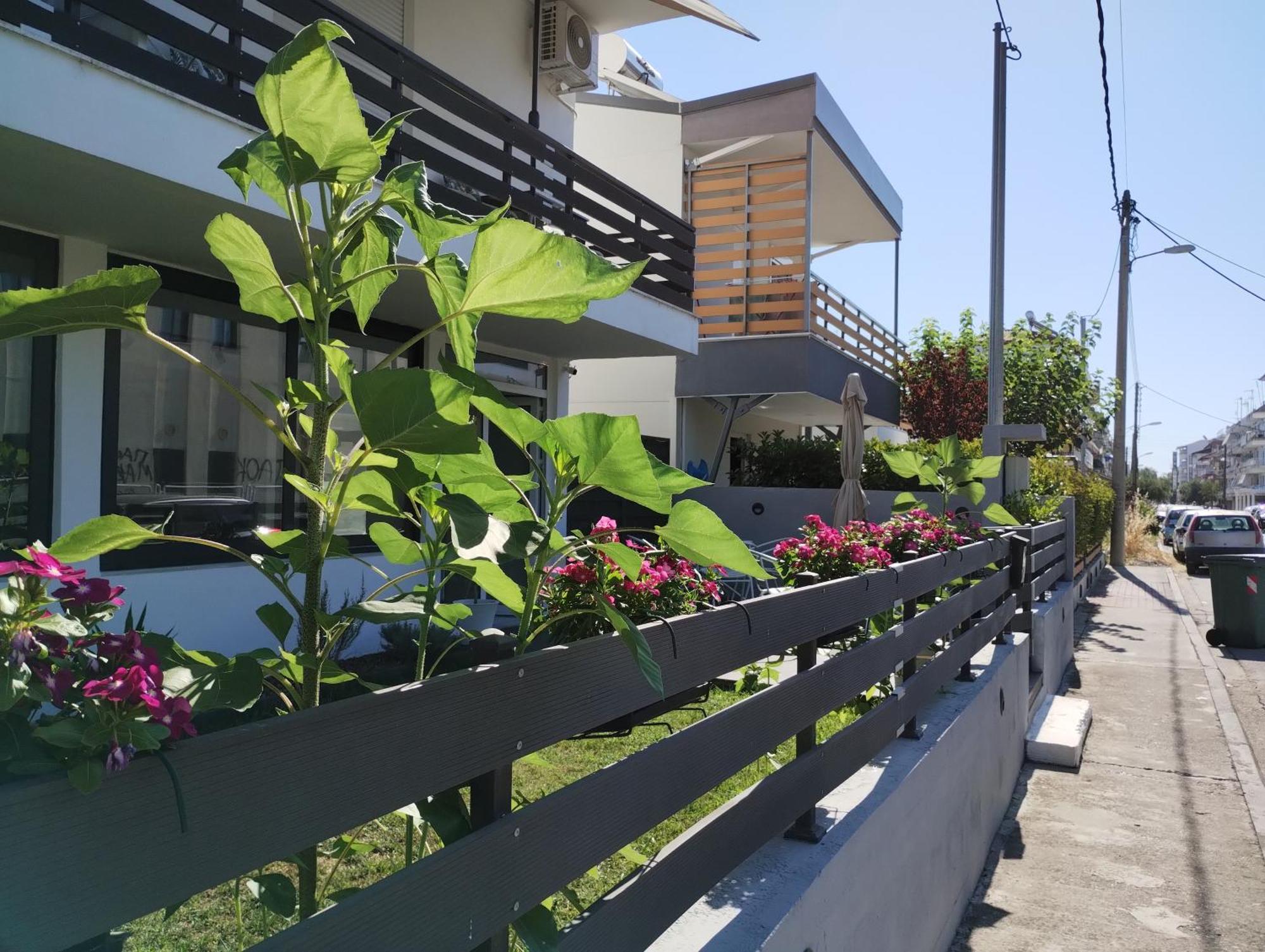 Villa Olympia Paralía Buitenkant foto